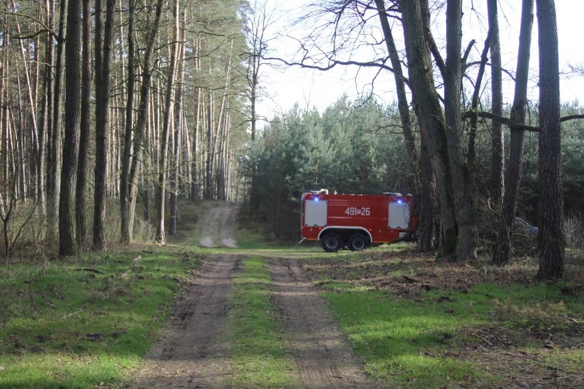 Pożar lasu pod Chwaliszewem [ZDJĘCIA]                   