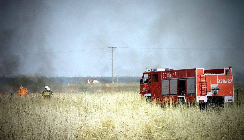 Groźny pożar traw w podwrocławskich Jeszkowicach