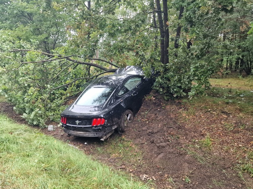 Mustang uderzył w drzewo na drodze Włocławek - Brześć Kujawski [zdjęcia]