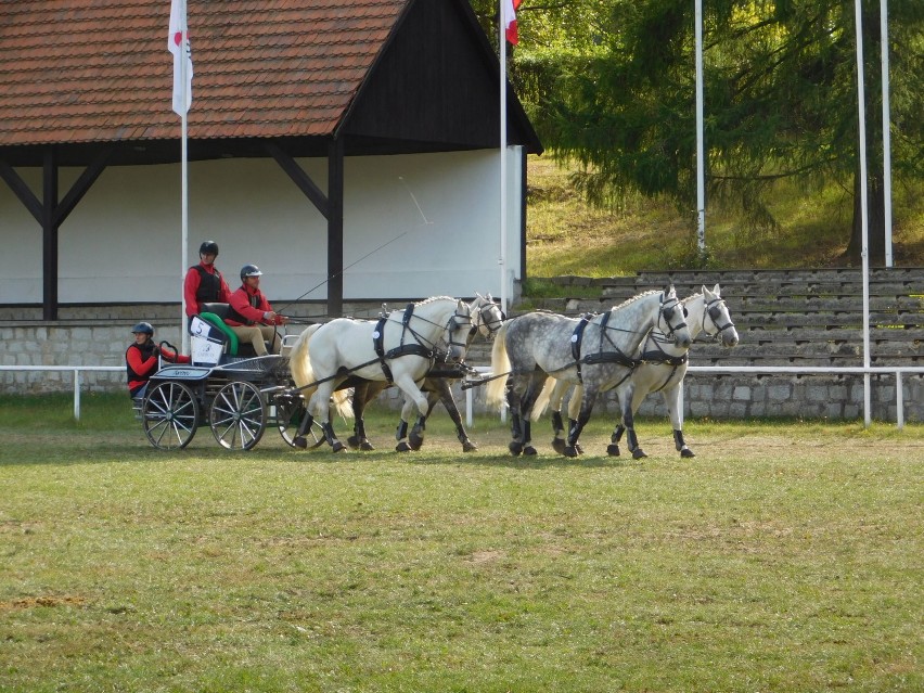 Bartłomiej Kwiatek zdobył drugi raz z rzędu złoty medal Mistrzostw Polski w Powożeniu Zaprzęgami Czterokonnymi