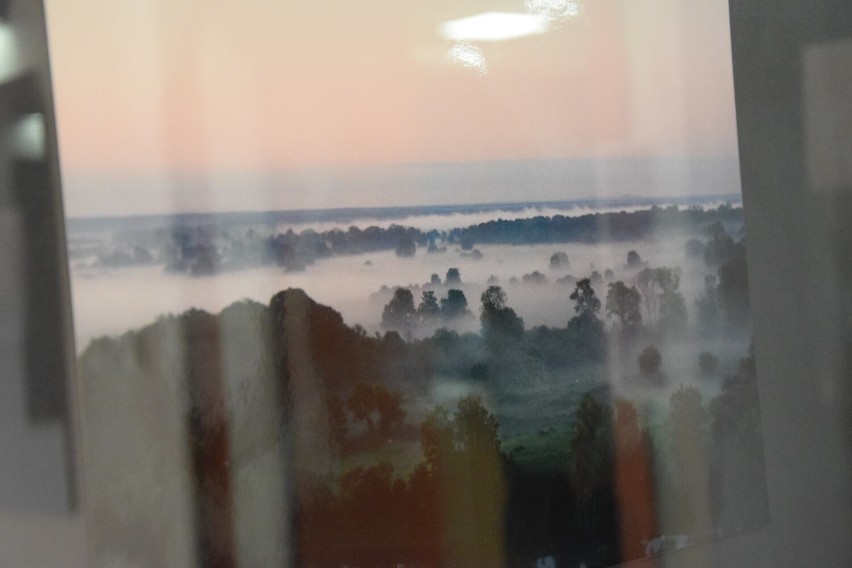 Mgła. Fotograficzna wystawa Janusza Ziarnika otwarta w Powiatowej Bibliotece Publicznej w Sieradzu ZDJĘCIA