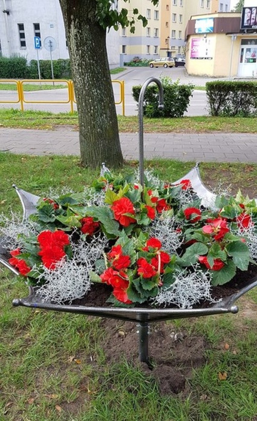 Donice w kształcie parasolek stanęły na skwerze w centrum...