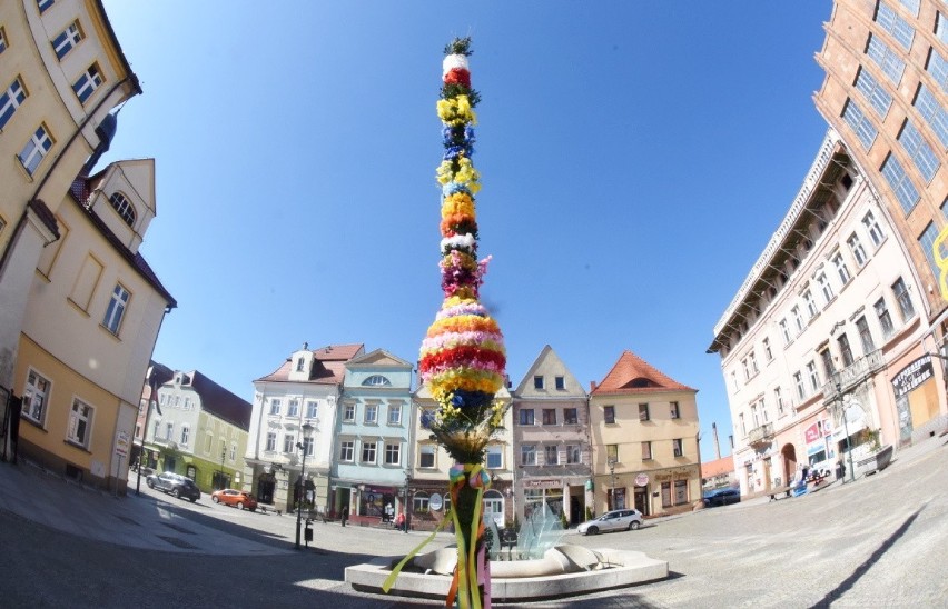 Palmę wykonali członkowie stowarzyszenia Wielka Mała Tęcza z...