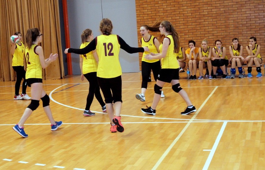Dziewczyny z I LO Świecie dobrze grają w siatkówkę [zdjęcia]