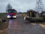 Silny wiatr przyniósł kilka strażackich interwencji w powiecie poddębickim ZDJĘCIA