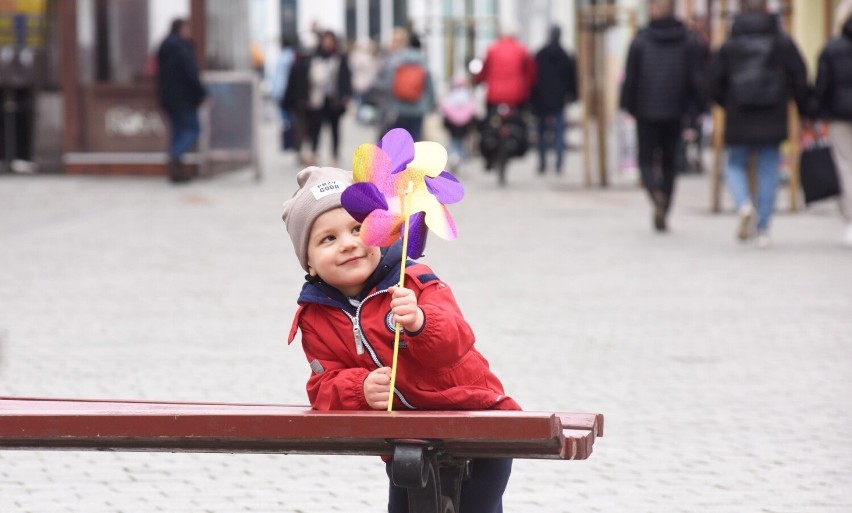 Wiosna już oficjalnie zawitała do Zielonej Góry. Mamy na to...