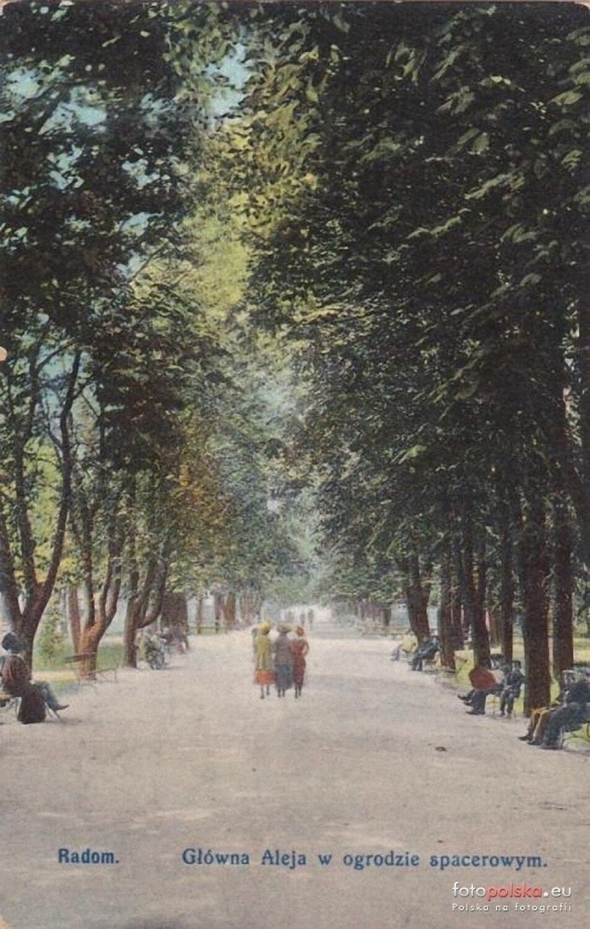 Lata 1910-1920 , Główna alejka w Parku Kościuszki
