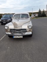 Wypatruj już w środę, 22 maja, na ulicach Konina pojawi się  tajemnicze  auto Warszawa M20 z 1959 roku! .