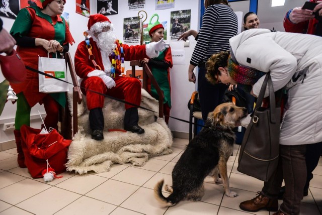 Gwiazdka w schronisku Promyk w Gdańsku 16.12.2017