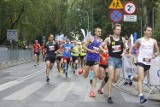 PKO Półmaraton Szczecin - trasa, utrudnienia, godziny startów 