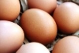 Sąd przedłużył areszt dla kaliszanina podejrzanego o produkcję niebezpiecznego suszu jajecznego
