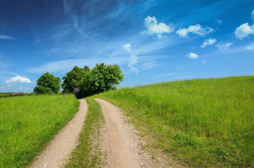 Szlak Bociani – Podlasie...