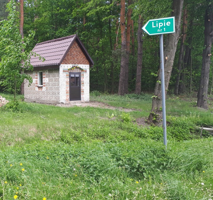 Ekipa programu "Było... nie minęło" w gminie Kiełczygłów. Szukano mogiły powstańca [FOTO]