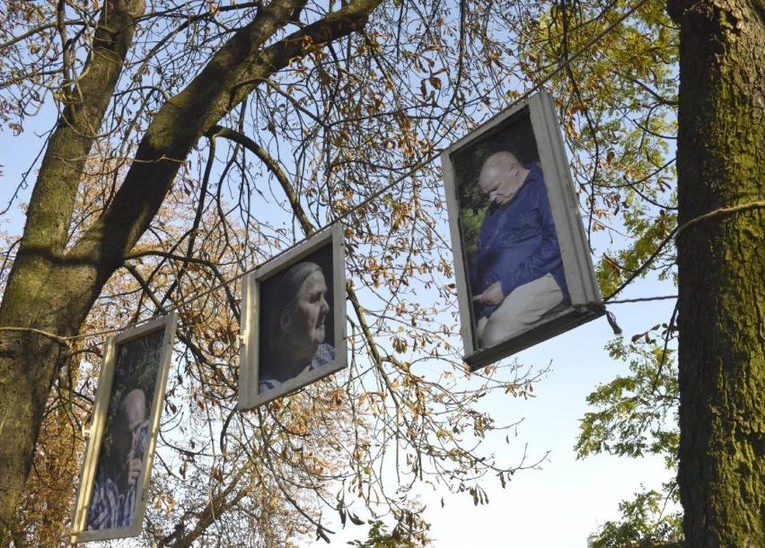 KOŚCIAN. W parku KOK została otwarta wystawa zdjęć...