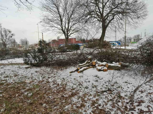 Na terenie wokół budowanego w Goleniowie nowego dworca kolejowo - autobusowego wycięto kilkadziesiąt drzew