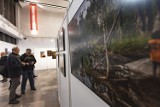 Muzeum Mazowieckie w Płocku organizuje akcję "Dopływy". Zrób zdjęcie płockich rzek i zostań częścią wystawy!