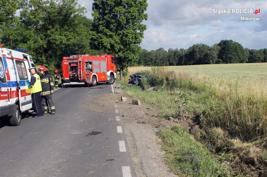 Mikołów: Wypadek w Bujakowie. Staranował znaki drogowe, wylądował w szpitalu