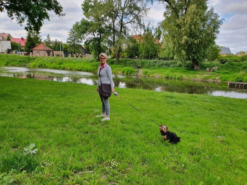 Irena Kołakowska ma pieska Taysona. Maluch niedawno skończył...