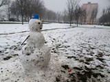 Śnieg na chodnikach i części ulic w Lesznie. Pamiętajcie o odśnieżaniu, bo kara może być spora - nawet do 1,5 tysiąca złotych