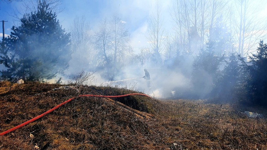 Gmina Sztabin. Strażacy gaszą pożary i apelują do mieszkańców, aby przestali wypalać trawy [Zdjęcia]