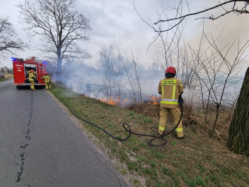 Pożar trawy na polu pod Krotoszynem [ZDJĘCIA]