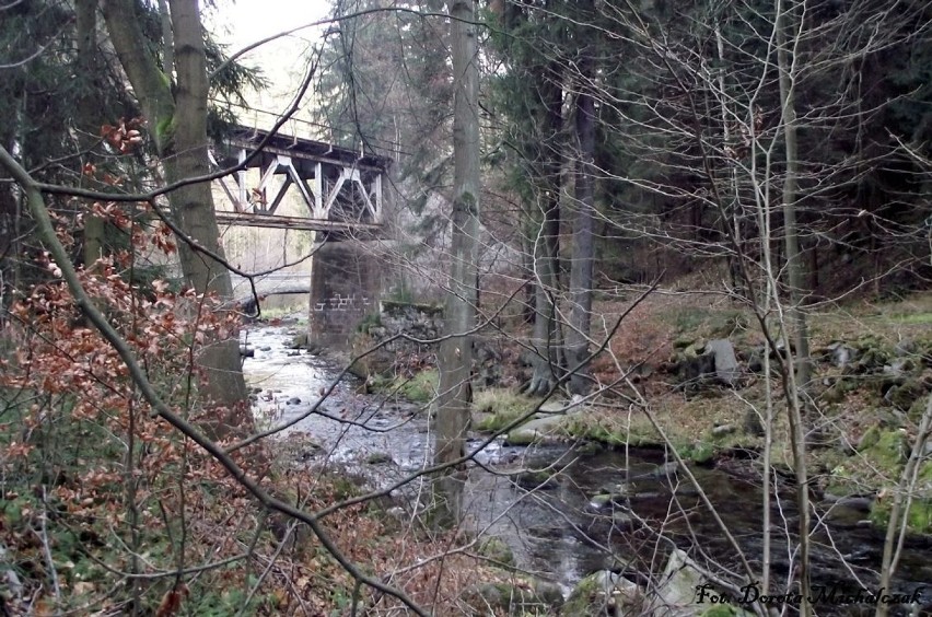 Nad Bystrzycą Dusznicką. Fot. Dorota Michalczak