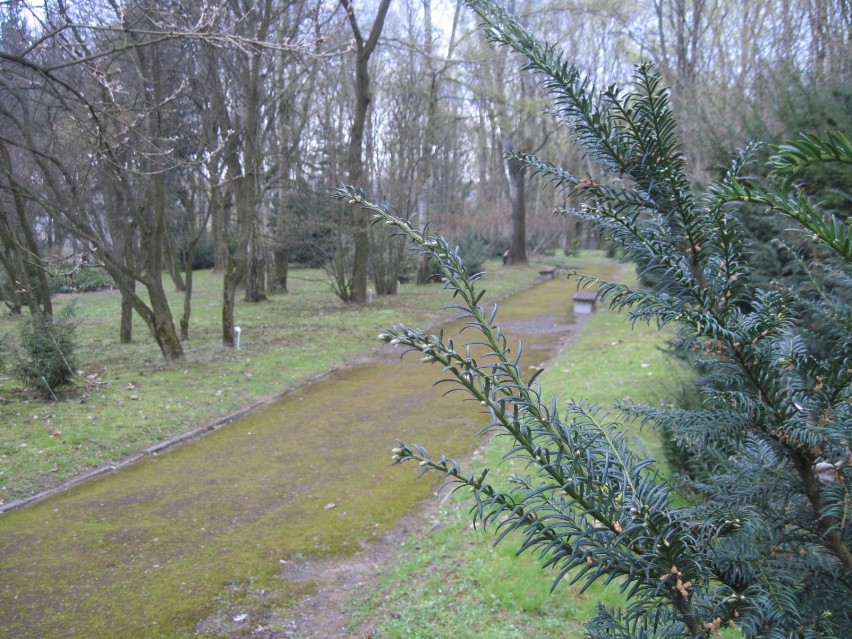 Ogród Botaniczny UMCS będzie czynny już w Wielkanoc