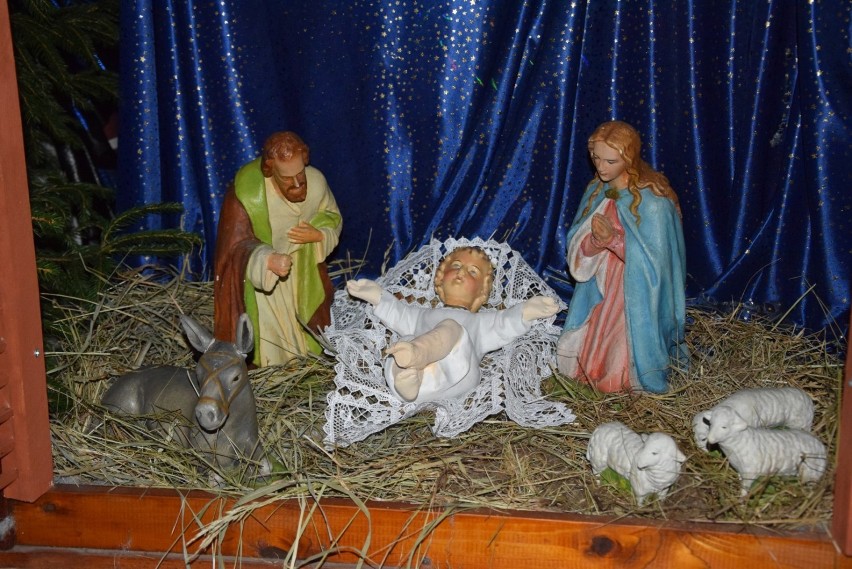 Człuchów, Rychnowy. Zdjęcia bożonarodzeniowych szopek w naszych kościołach