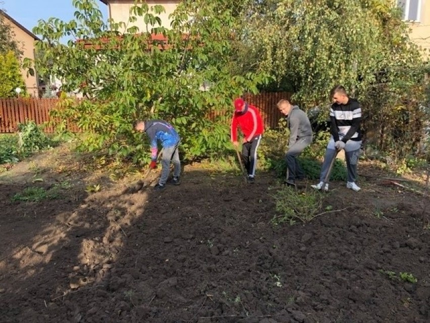 Niesamowici wolontariusze z „Bartosza” w Opatowie. Pomagają starszym sprzątnąć ogródki [ZDJĘCIA]