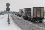 Wypadek na wschodniej obwodnicy Poznania. Zderzyły się dwie ciężarówki!