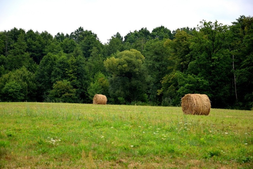 Wakacyjny odpoczynek nad rzeką Rawką [ZDJĘCIA]