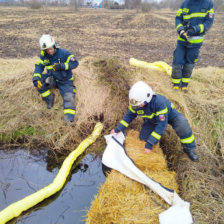 Strażacy OSP w Solcu Kujawskim w akcji na Strudze Młyńskiej...