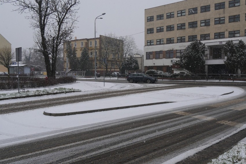 Atak zimy w Legnicy