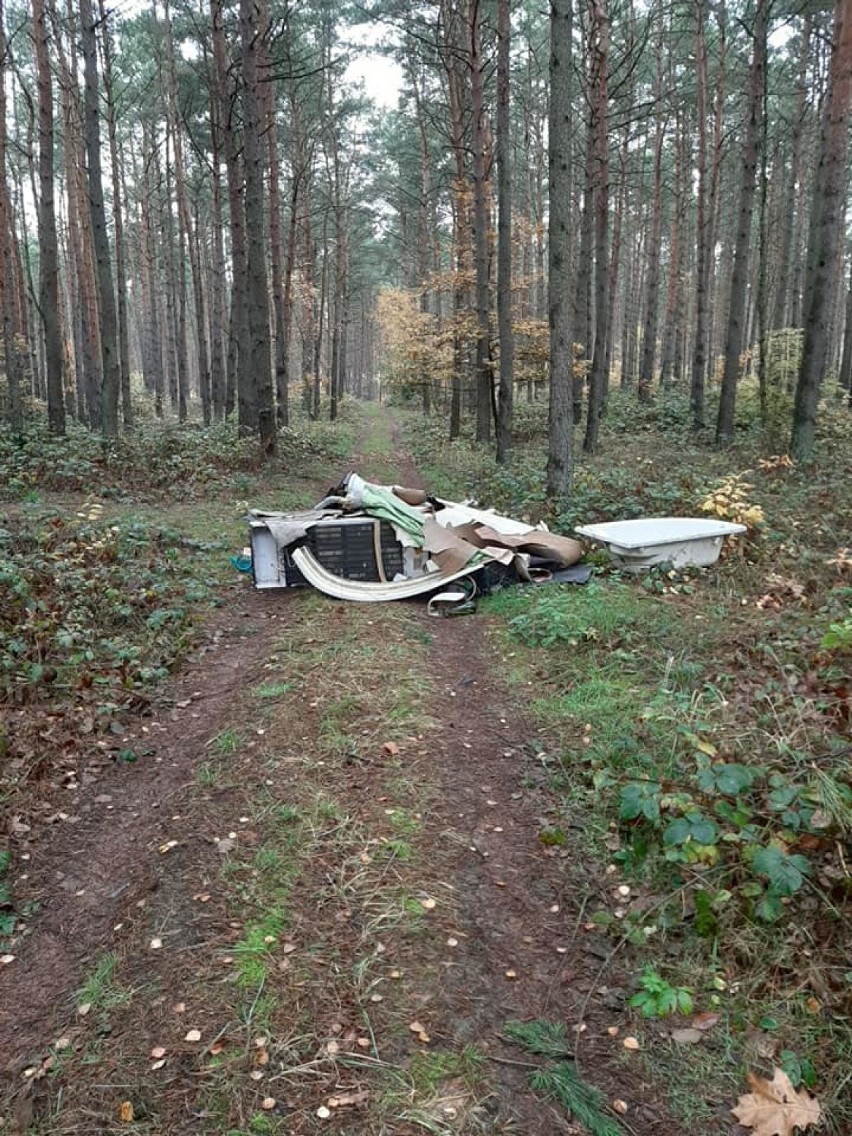 Śmieci w lesie. Ktoś zostawił odpady między Kozłowem a...