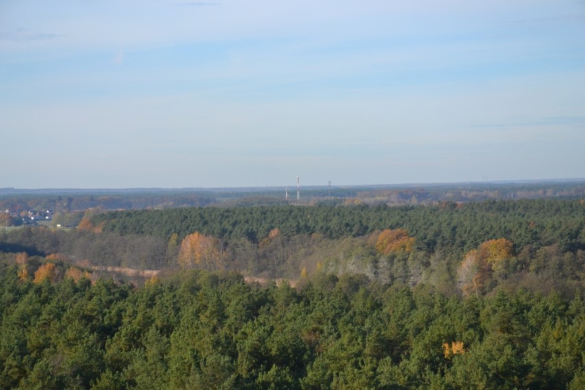 Wieża widokowa znajduje się blisko miejscowości Święte.