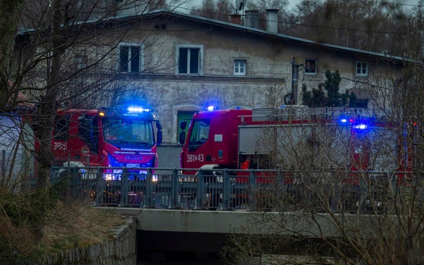 Wypadek w Kowalowej koło Mieroszowa przez psa, który wybiegł...