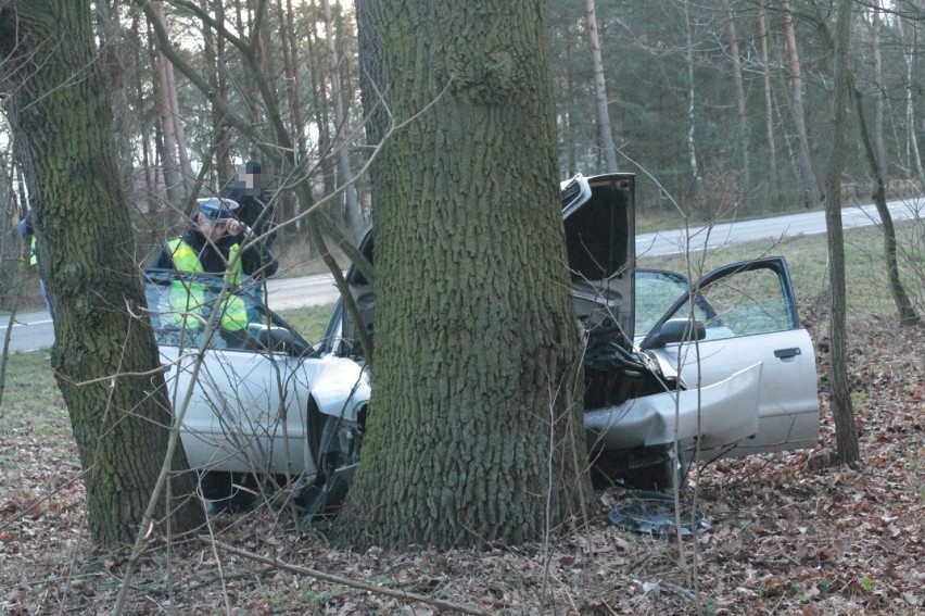 Audi wylądowało na drzewie