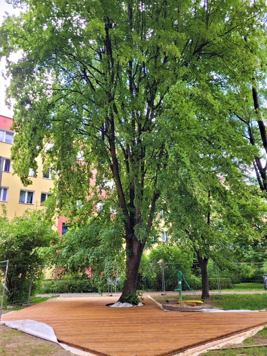 Kraków. Budują nowy park kieszonkowy na północy miasta. Będą miejsca do ćwiczeń i nietypowe ścieżki