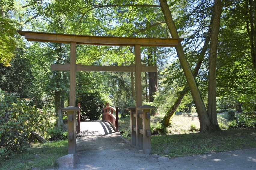 Ogród chiński i ogród japoński w  Parku Dworskim w Iłowej....