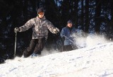 Gdynia: Stok narciarski także na Witominie? Są już kolejne plany inwestycji rekreacyjnych w mieście