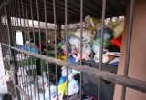 Pięć frakcji śmieci - jak je właściwie segregować?