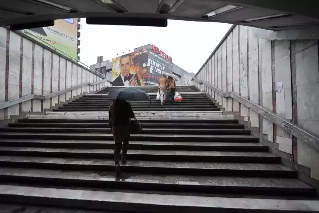 Anię widziano w okolicach łódzkiego Centralu.