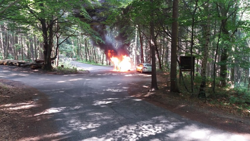 Pożar samochodu w Szczytnej! [FOTO]                   