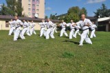 Seminarium szkoleniowe karate kyokushin