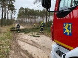 Powiat Nowy Tomyśl. Strażacy interweniowali do tej pory ponad 100 razy. Skutki weekendowych wichur! 