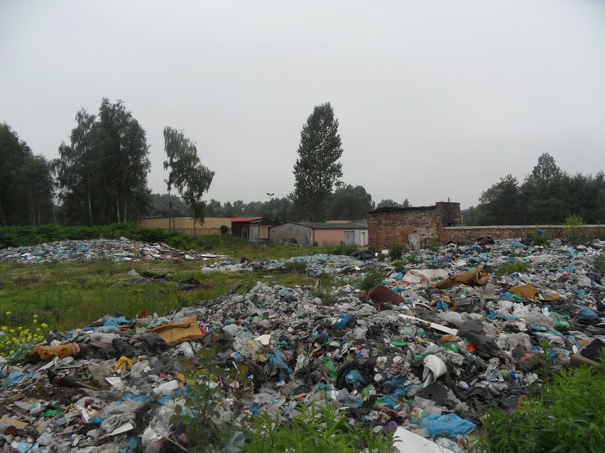 Nasz ekologiczny patrol - Dzikie wysypiska śmieci powoli znikają z ulic naszego miasta