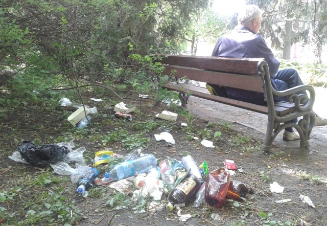 Nowa ustawa śmieciowa ma zapobiec nielegalnemu pozbywaniu się śmieci byle gdzie.