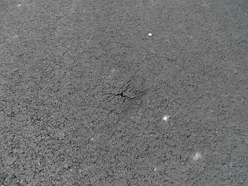 Mlecze podziurawiły świeżo położony asfalt na wałach w Oświęcimiu