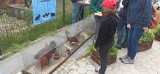 Wystawa zwierząt w Katowicach do odwiedzenia za darmo! Ponad tysiąc ptaków ozdobnych, alpaki, króliki