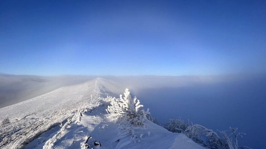 Bieszczady jak z bajki. Co za widok! Zobacz zdjęcia z wyprawy naszego Czytelnika